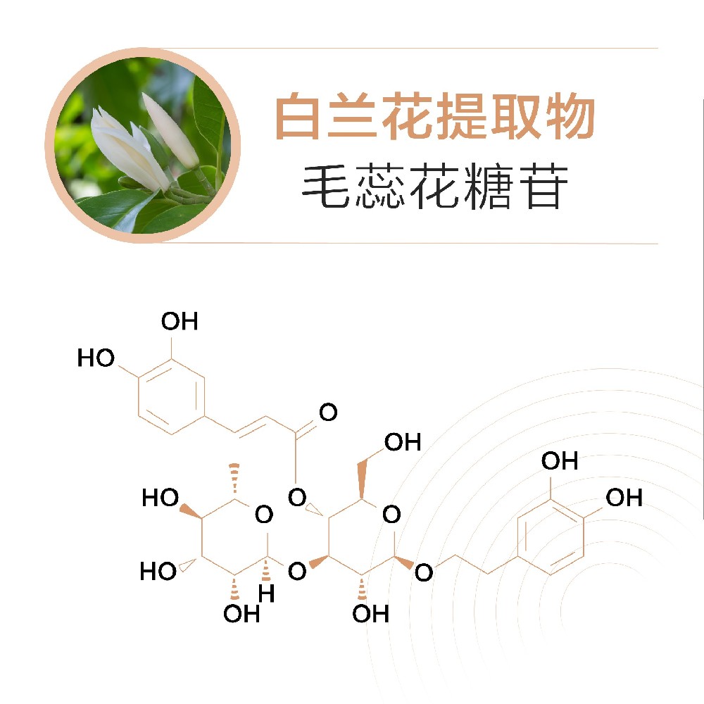 毛蕊花糖苷